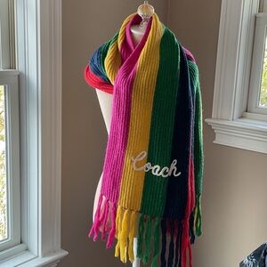 Coach Vibrant Striped Wool Scarf
